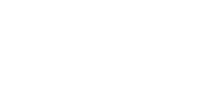 N1 Solutions Logo